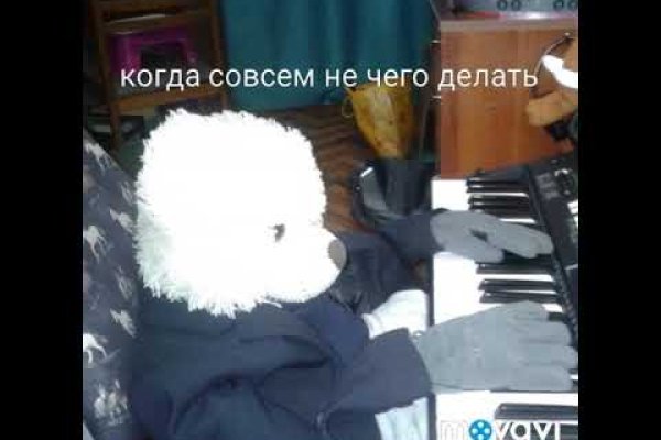 Мега зеркала тор онион мориарти кракен
