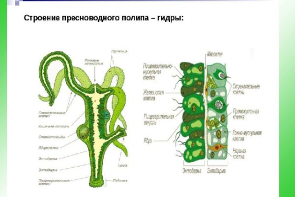 Кракен зеркало 2