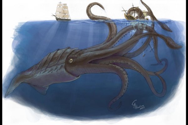 Kraken смылка